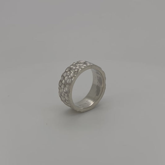 HAMMERED BAND